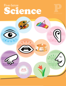 five-sense-science-workbook